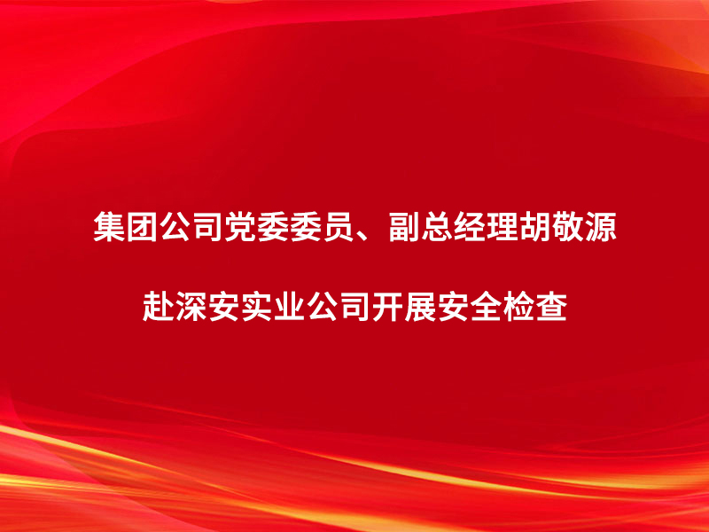 集團(tuán)公司黨委委員、副總經(jīng)理胡敬源赴深...